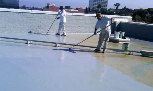 WhatsApp Image 2025-12-16 at 11.47.38 AM (1)